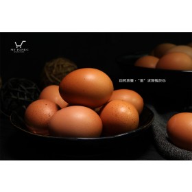 人道飼養 / 平飼飼養【土雞蛋】極上紅蛋 _放養蛋30枚/盒 X 6 