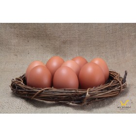 【土雞蛋】極上紅蛋30枚/盒 X 6